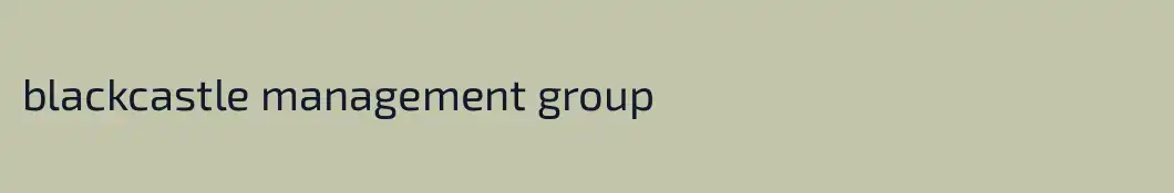 blackcastle management group
